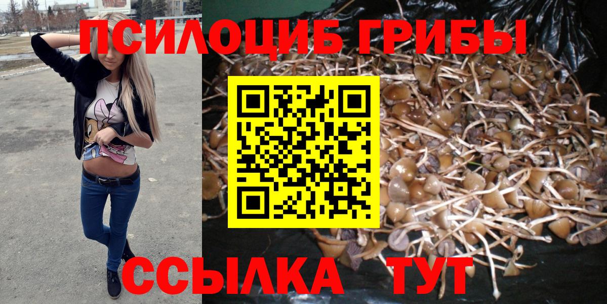 Псилоцибиновые грибы MAGIC MUSHROOMS Белово