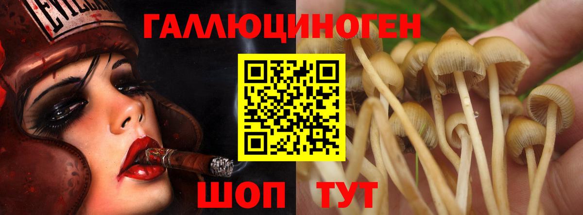 где можно купить наркотик  Вход с VPN  Белово  Псилоцибиновые грибы мухоморы 
